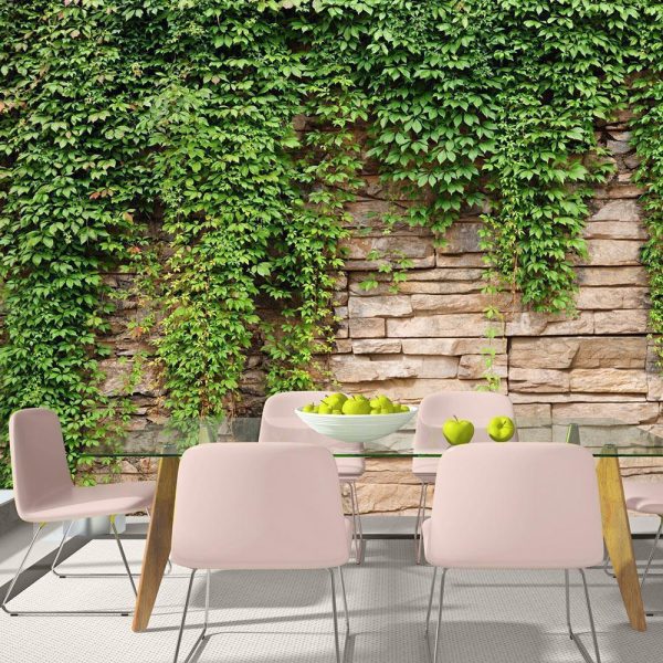 Wall Mural - Ivy wall