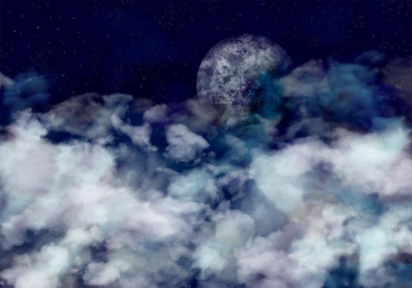 Wall Mural - Journey to the Moon