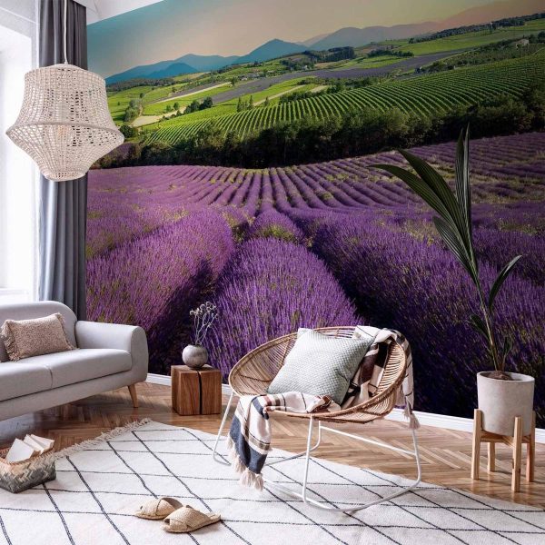 Wall Mural - Lavender Field