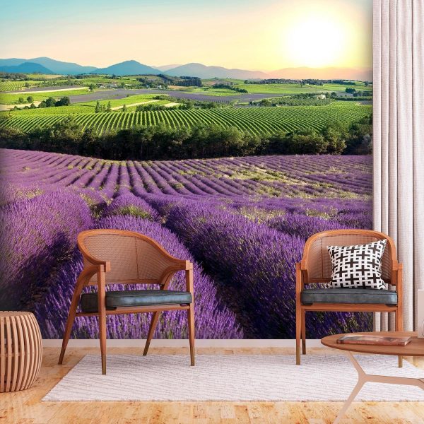 Wall Mural - Lavender Field