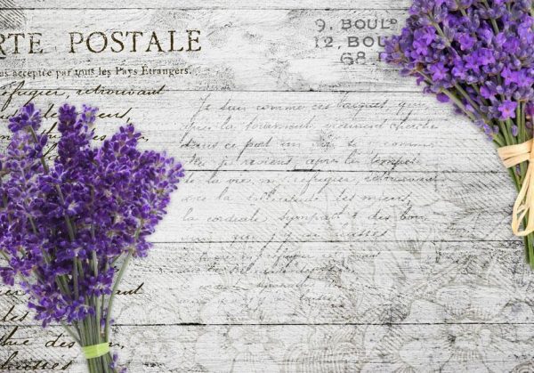 Wall Mural - Lavender postcard