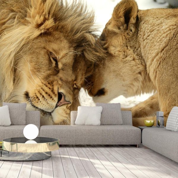 Wall Mural - Lion Tenderness