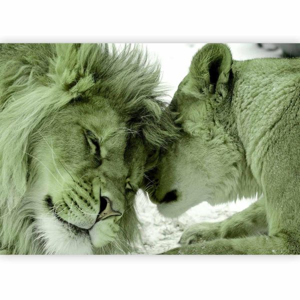 Wall Mural - Lion Tenderness (Green)