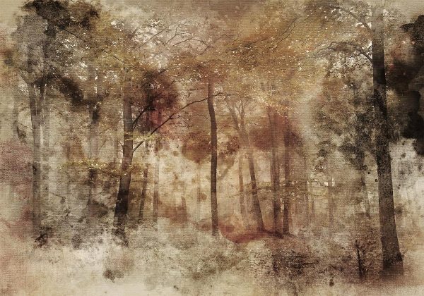 Wall Mural - Lost in the woods