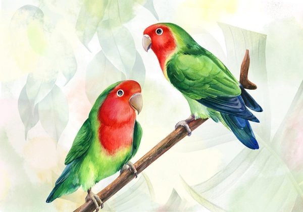 Wall Mural - Lovebirds