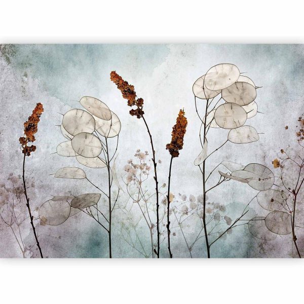 Wall Mural - Lunaria in the Meadow