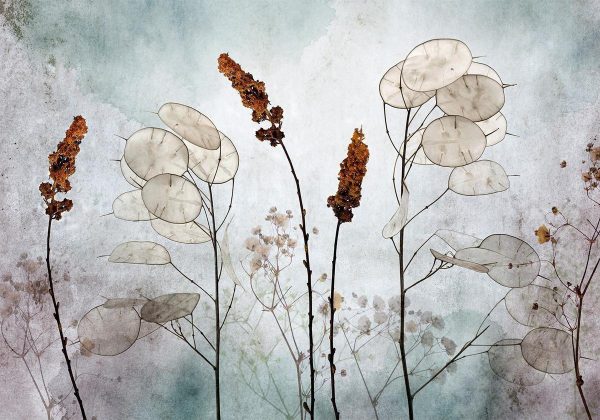 Wall Mural - Lunaria in the Meadow