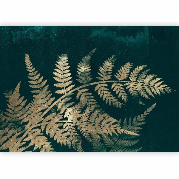 Wall Mural - Magic Night - Second Variant