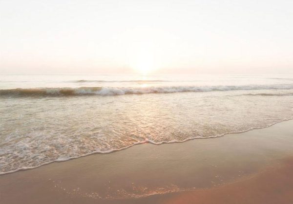 Wall Mural Wallpaper - Magnificent Morning - Image 6