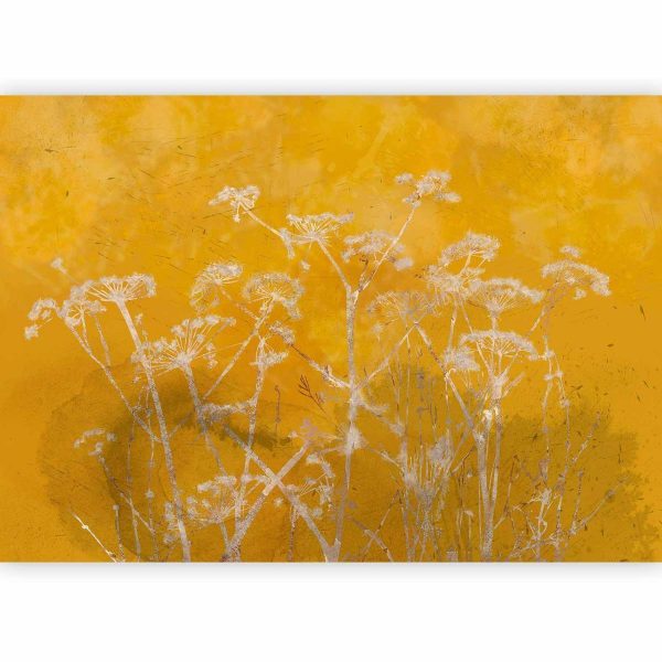 Wall Mural - Meadow Bathed in the Sun