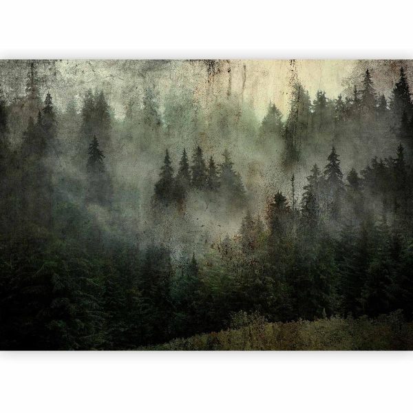 Wall Mural - Misty Beauty of the Forest