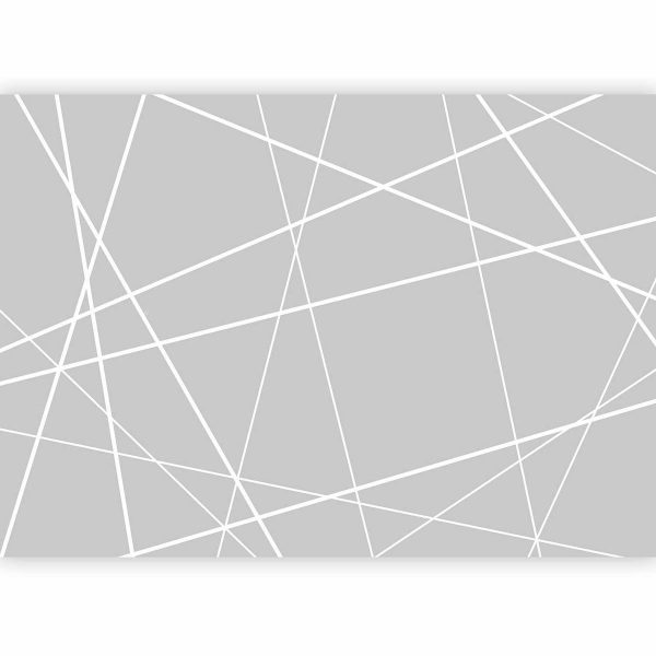 Wall Mural - Modern Cobweb