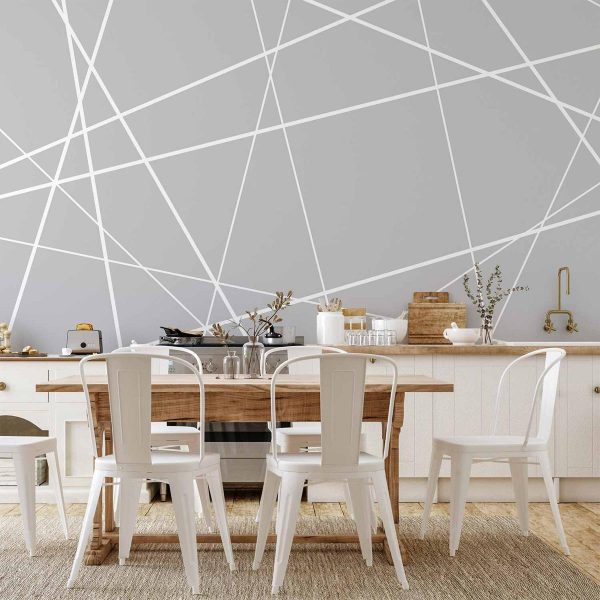Wall Mural - Modern Cobweb