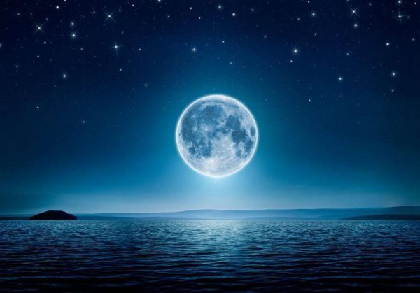 Wall Mural - Moonlit night