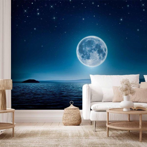 Wall Mural - Moonlit night