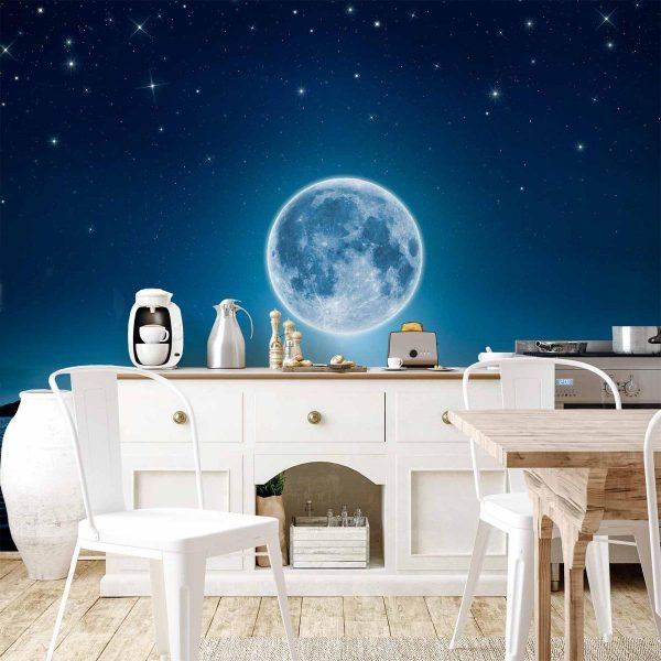 Wall Mural - Moonlit night