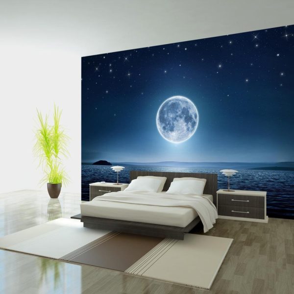 Wall Mural - Moonlit night