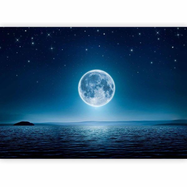 Wall Mural - Moonlit night