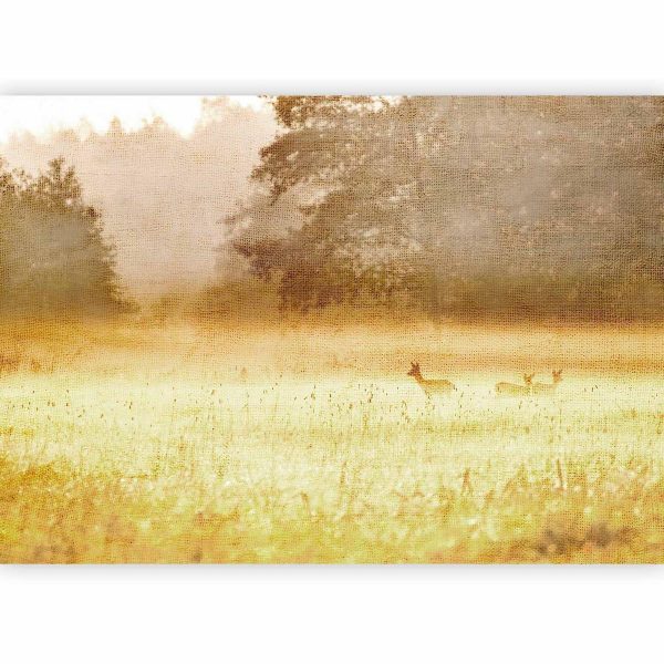 Wall Mural - Morning Dew
