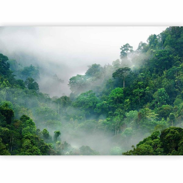 Wall Mural - Morning Fog