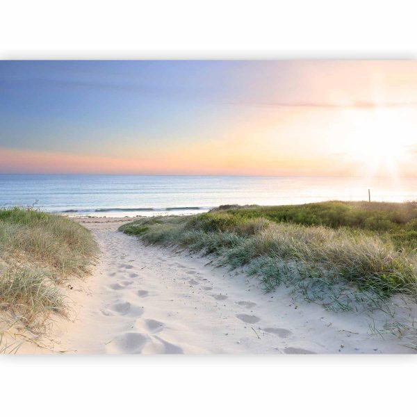 Wall Mural - Morning walk on the beach