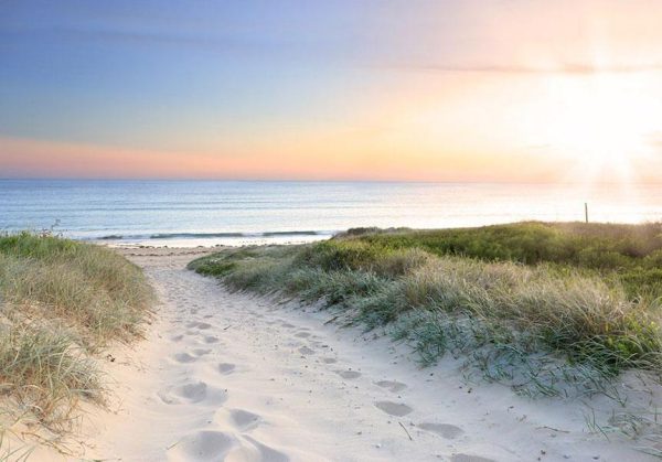 Wall Mural - Morning walk on the beach