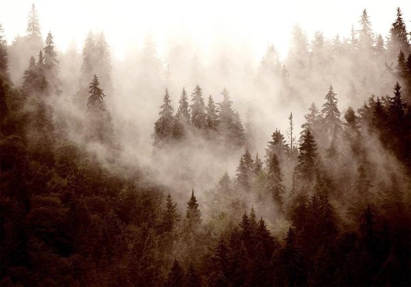 Wall Mural - Mountain Forest (Sepia)