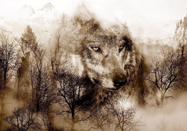 Wall Mural - Mountain Predator (Brown)
