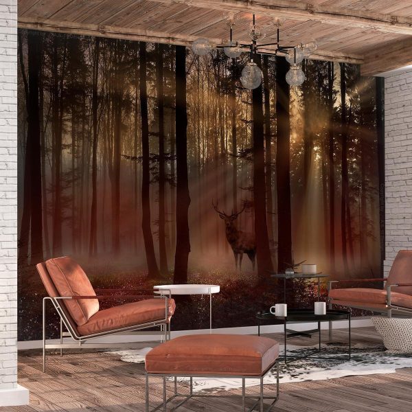 Wall Mural - Mystical Forest - First Variant