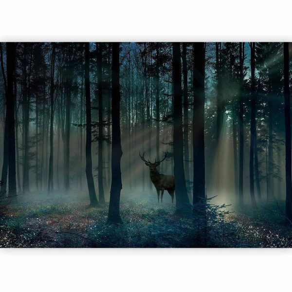 Wall Mural - Mystical Forest - Third Variant