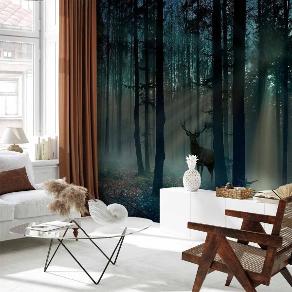 Wall Mural - Mystical Forest - Third Variant