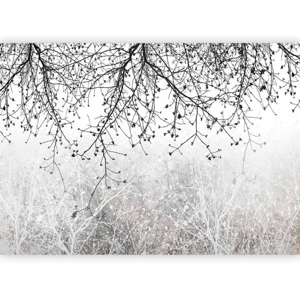 Wall Mural - Natural Brightness