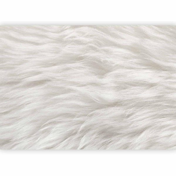Wall Mural - Natural Delicacy - First Variant