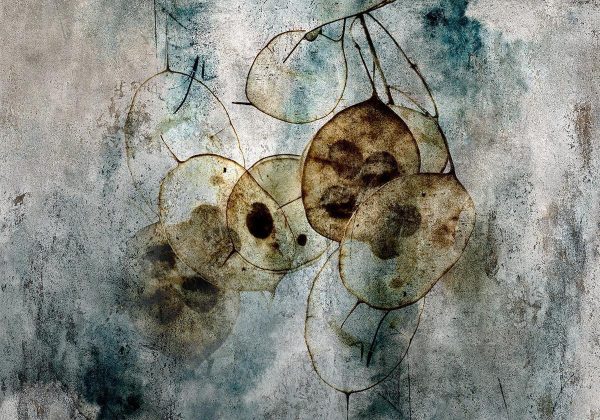Wall Mural - Nature and Lunaria