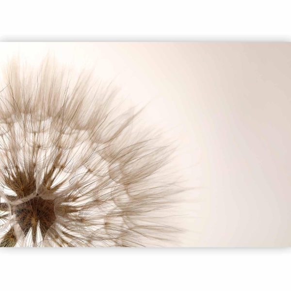 Wall Mural - Nature close-up - close-up motif of a blowfly flower in sepia - Image 5