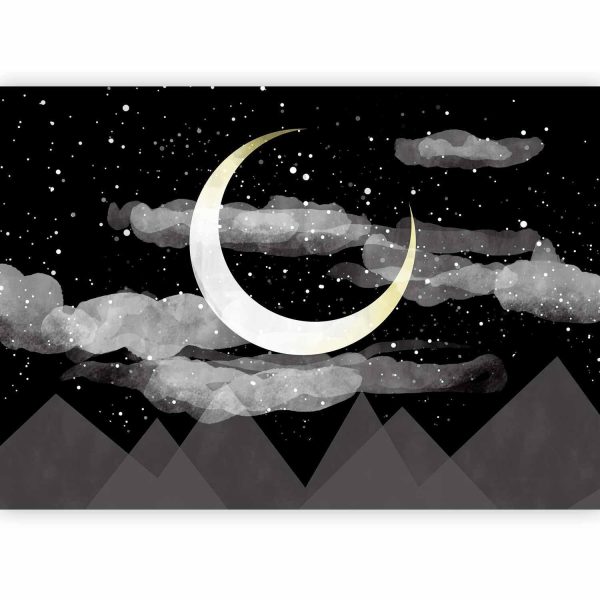 Wall Mural Wallpaper - Night Glow - Image 4