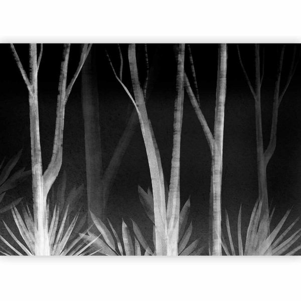 Wall Mural - Noise of the forest at night - minimalist landscape of white trees on a black background