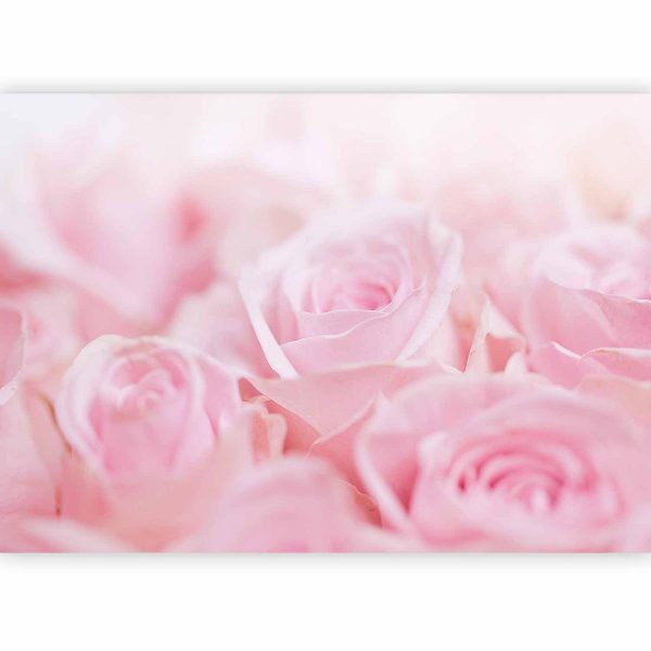 Wall Mural - Ocean of Roses