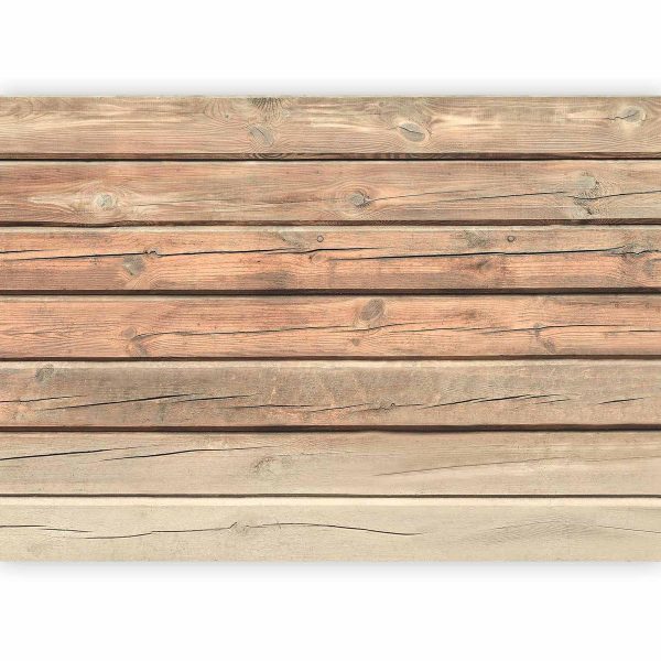 Wall Mural - Old Pine