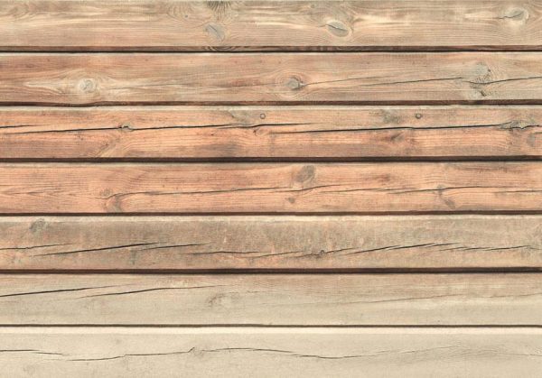Wall Mural - Old Pine