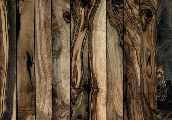 Wall Mural - Olive Wood