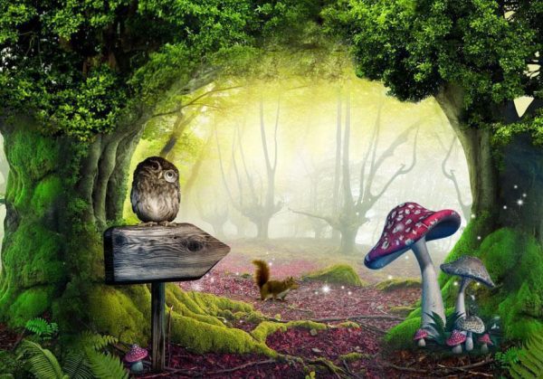 Wall Mural - Owlish corner