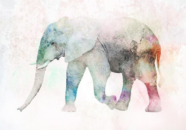 Wall Mural - Painted Elephant