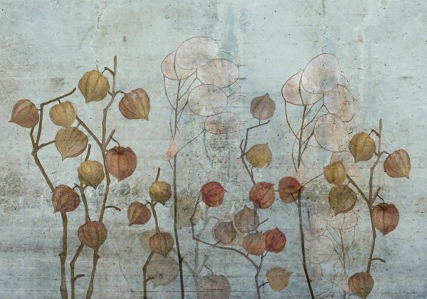 Wall Mural - Painted Lunaria