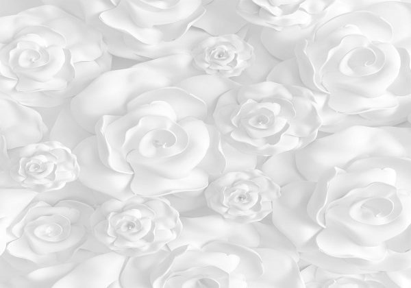 Wall Mural - Plaster Flowers