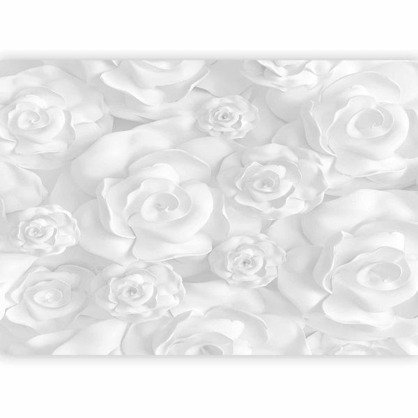 Wall Mural - Plaster Flowers