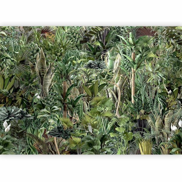 Wall Mural - Richness of Jungle