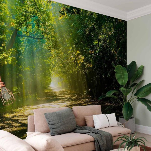 Wall Mural - Road in Sunlight