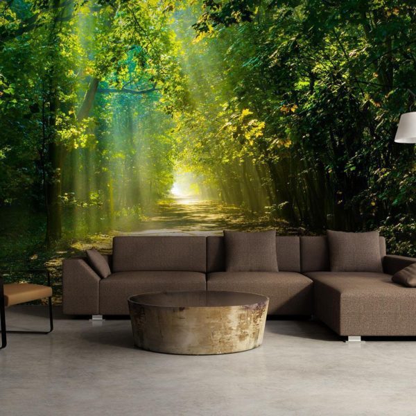 Wall Mural - Road in Sunlight