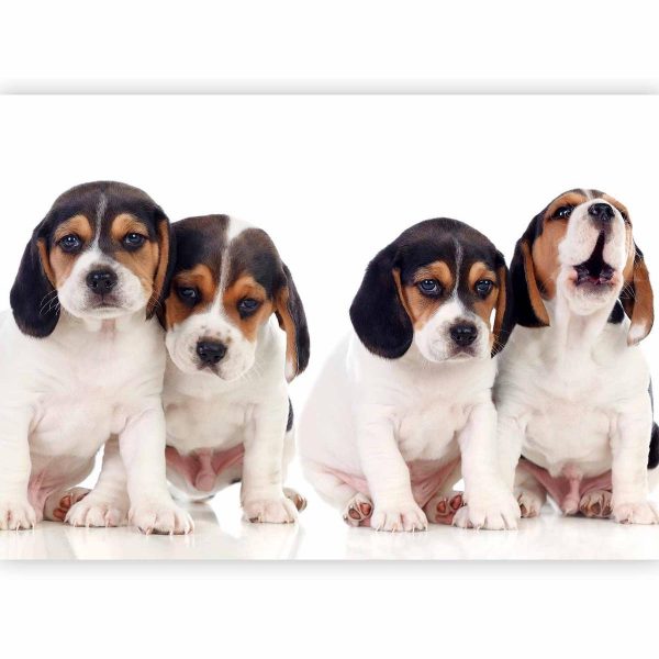 Wall Mural - Sad Puppies